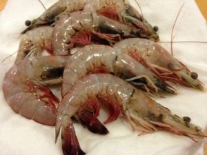 prawns